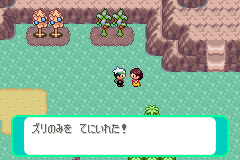 ズリのみ