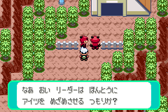 マグマ団のしたっぱ