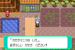 化石マニアのいえ