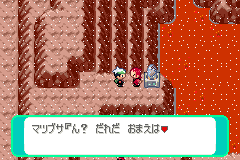 マツブサ
