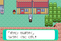 ポケモン かんぽうやく