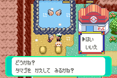 タマゴ