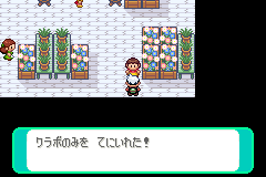 クラボのみ獲得
