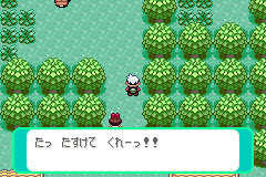 ミシロタウン北〜101番どうろ