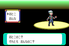 男の子を選んだ場合