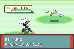 キャモメ出現