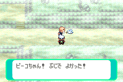 ピーコちゃんが無事に戻る