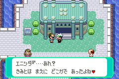 エニシダ