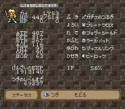 ガイのステータス画面