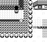 「?????」で水路に乗ったところ