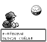 なきごえ0回だとマルマイン