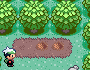 植えたばかりの土
