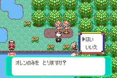 実がなった木に話しかけると「オレンのみを とりますか?」