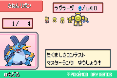 ポケナビのリボンの画面