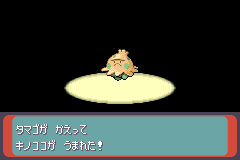 タマゴがかえる所