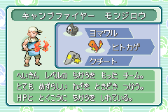 情報カード（順位・戦い方・能力の3行）