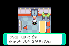 「しあいに だす ポケモンを 2ひき えらんでください」