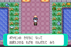 「ポケモンの きもちに なって おぼえさせる わざを かんがえて みろ」