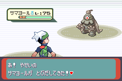 野生の部屋