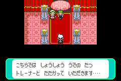強いトレーナーの部屋