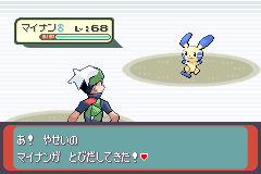 歩いていると、野生のポケモンが飛び出してくる