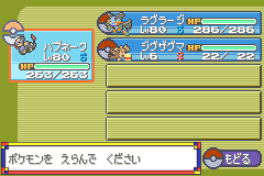 道具を拾ったジグザグマ