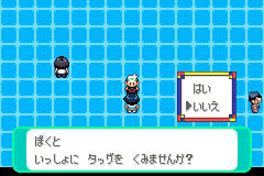 「いっしょに タッグを くみませんか?」で はい を選ぶとパートナーに決まる