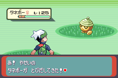 120番どうろのタネボー