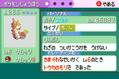 1匹目「きまぐれ」のメス