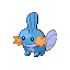 ミズゴロウ