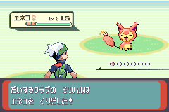 初戦のエネコ Lv15