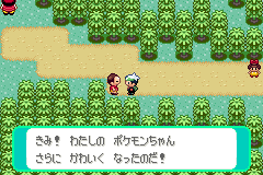 再戦したいミツハル