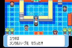 6週目から: 持たせる道具