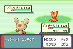 戦いで出したパッチールの後ろ姿（1章の2匹目）