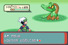 草むらのトロピウス