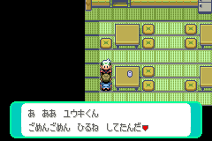 民宿のエニシダ