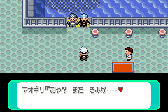 港のアオギリ