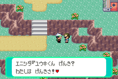 トクサネシティのエニシダ
