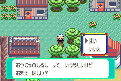 おうじゃのしるしをもらう