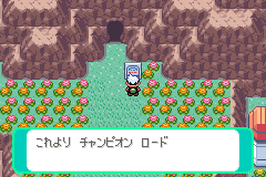 チャンピオンロードの入口