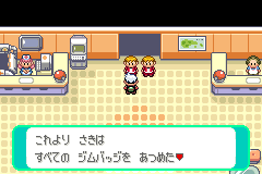 ポケモンリーグの通路の前