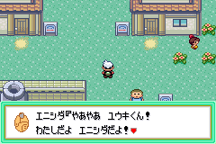 エニシダの誘い