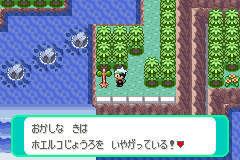 ホエルコじょうろで水をかける