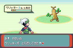 ウソッキーとのバトル